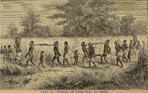 ilustración de un Grupo de esclavos trasladados hacia la costa occidental de África.